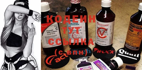 дживик Осинники