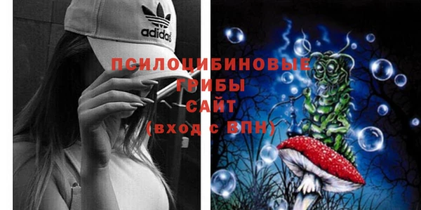 дмт Арсеньев