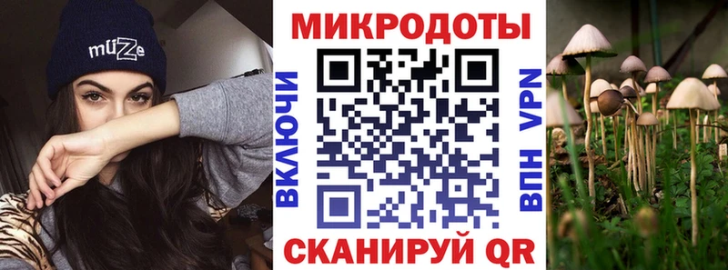 Псилоцибиновые грибы MAGIC MUSHROOMS  продажа наркотиков  Сортавала 